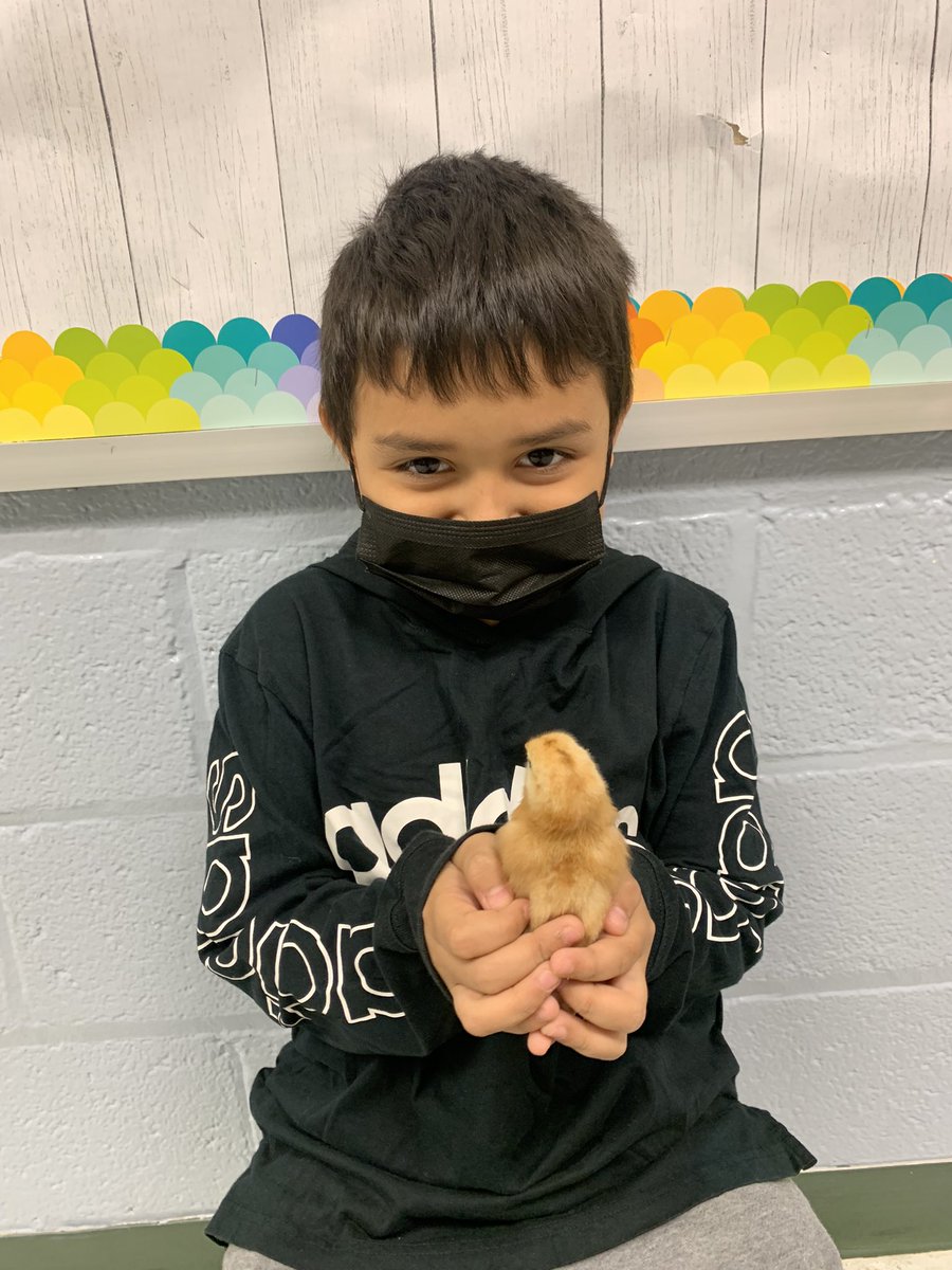 MsEnglish1234's tweet photo. 🐣 #o_braves @OccoquanES https://t.co/ESO3ZNB5zH
