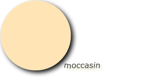 TheDailyColor's tweet photo. moccasin https://t.co/yuGyCs0xM1 🏉 rgb(255,228,181) #ffe4b5 #moccasin ☝️ https://t.co/WnJPeqyOBT