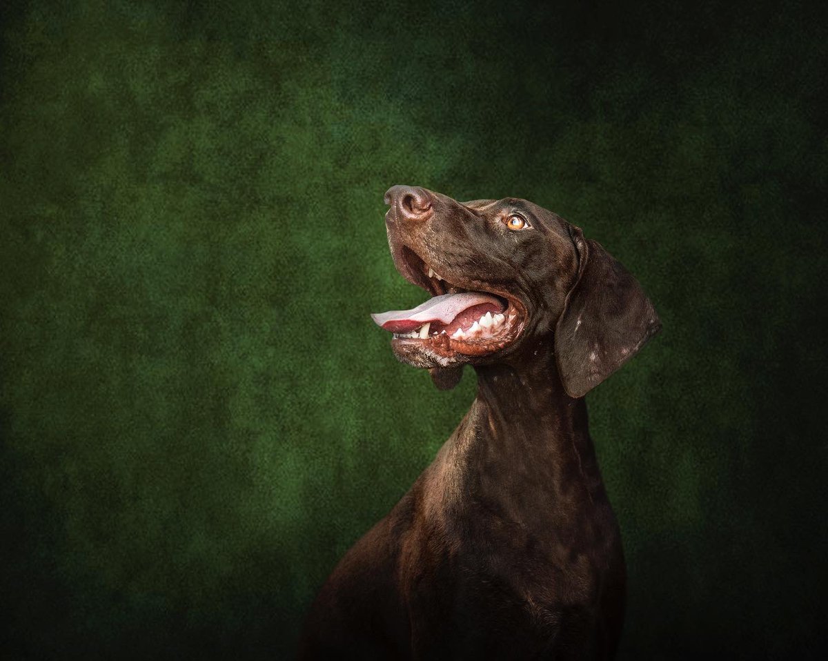 Courtraits tweet media