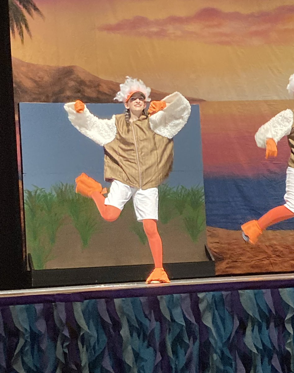 I cannot express the joy and pride I felt watching my girls share their incredible talents with the community. Their first and last musical together at Bethpage HS. I will cherish this forever.