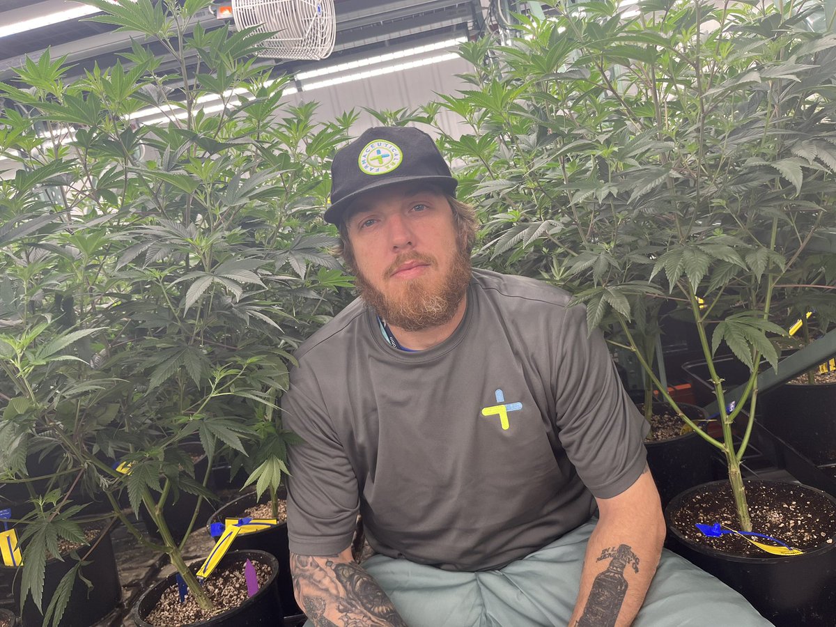 EricPerry19's tweet photo. Welcome to the jungle #CannabisCommunity #ohiommj #ohio #flower https://t.co/uyMKmB1XIs
