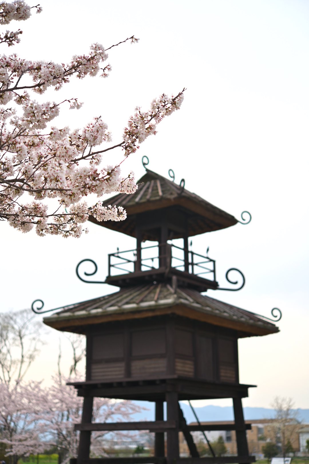 唐古 鍵遺跡史跡公園 Twitter Search Twitter