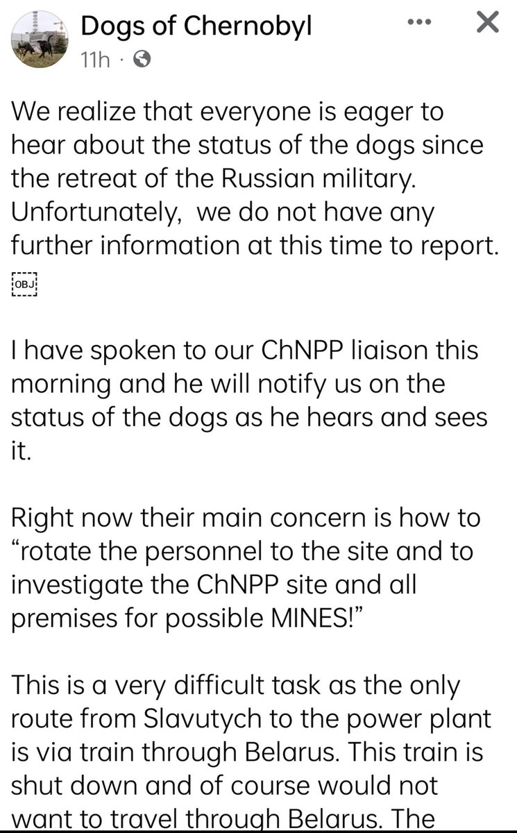 kobij143's tweet photo. Some News regarding
The Dogs Of Chernobyl
#dogsofchernobyl #animalrescue #dogs #PrayForUkraine
@ABreakingWorld @domdyer70 https://t.co/U3YmjDjlUZ