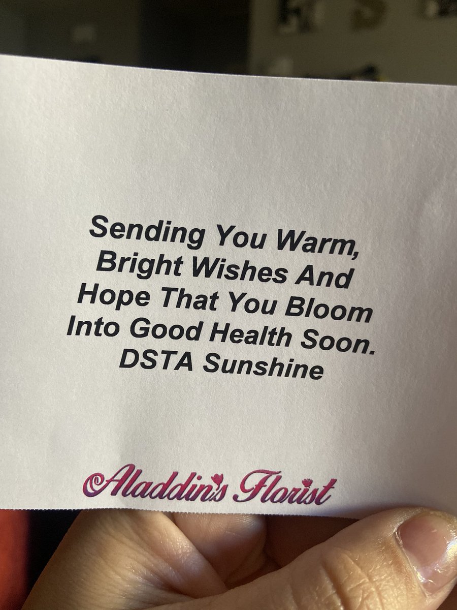 sanchez__sara's tweet photo. Thank you DSTA for the beautiful flowers https://t.co/K8GWfnRPhq