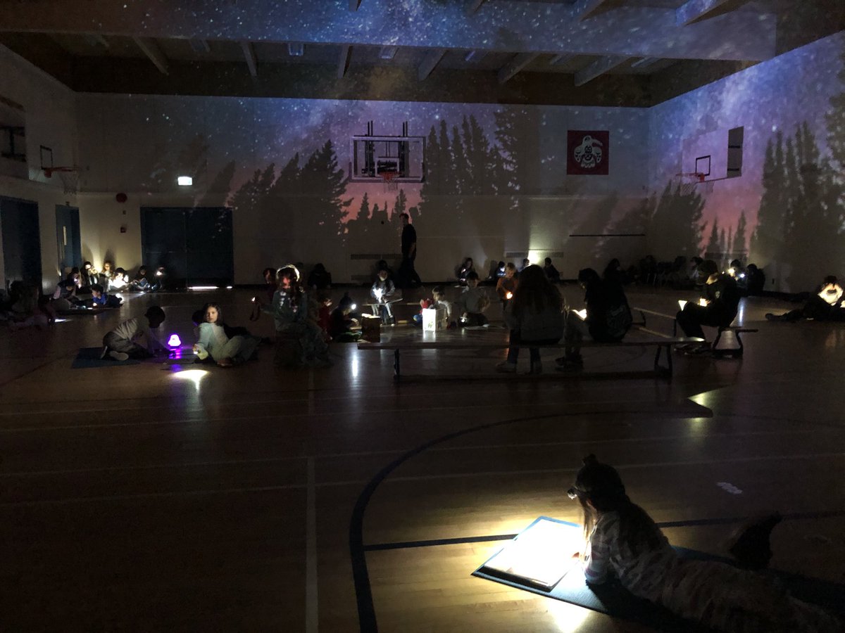 mmefriesenclass's tweet photo. A magical afternoon reading under the stars with our flashlights! #literacyweek #peacearchlearns https://t.co/bRhDRZ2hd6