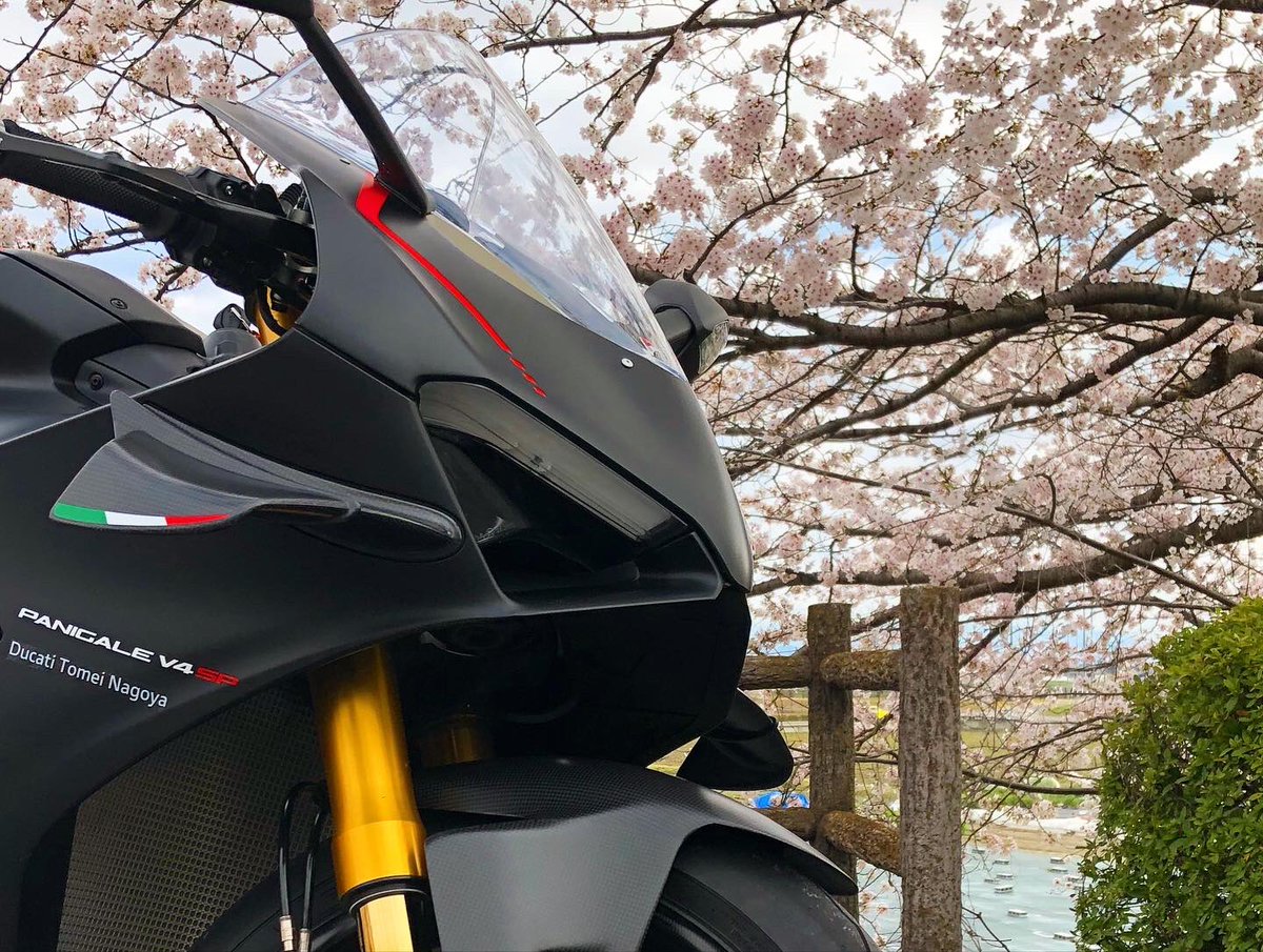 kanayan029's tweet photo. 通勤レーシング!
#ducati #ドゥカティ #v4sp #panigale
#ドゥカティいいじゃん #桜 https://t.co/iW74RTyzeu