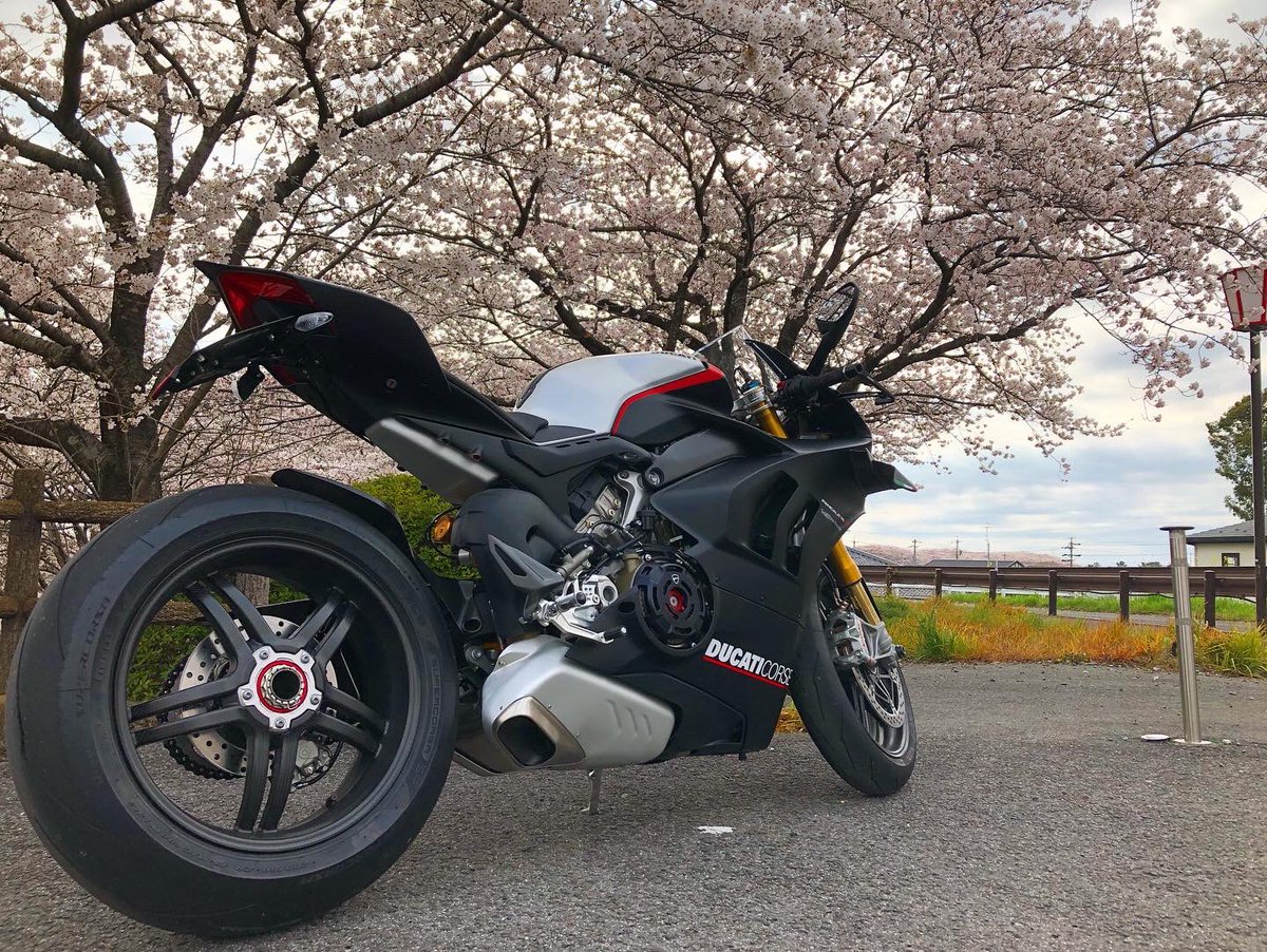 kanayan029's tweet photo. 通勤レーシング!
#ducati #ドゥカティ #v4sp #panigale
#ドゥカティいいじゃん #桜 https://t.co/iW74RTyzeu