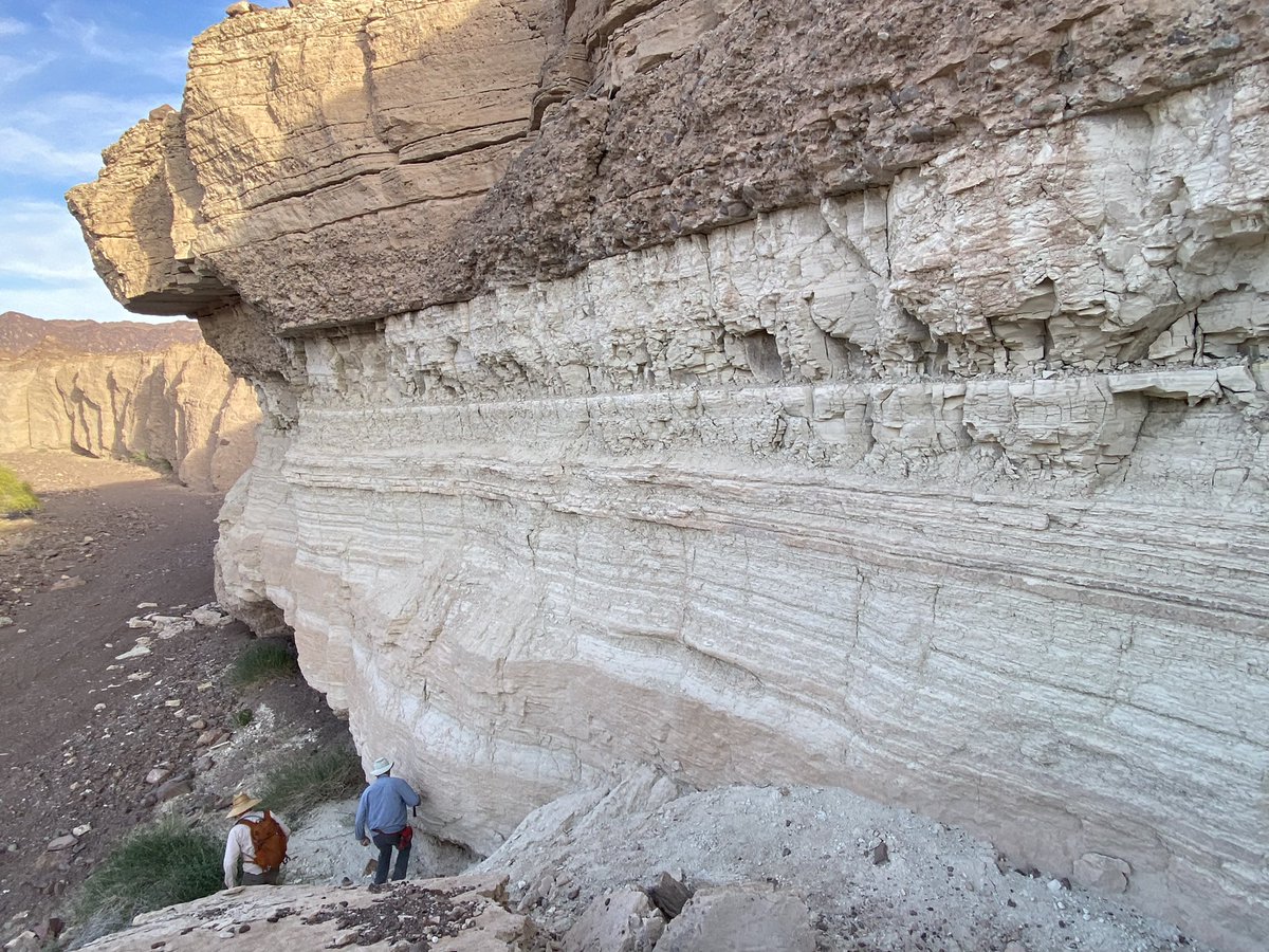 CosyNomad's tweet photo. What do you see in this first image? (Second image for context/scale). 

The light colored beds are marls, overlain by bioclastic sands. https://t.co/p2CwNIMqAz