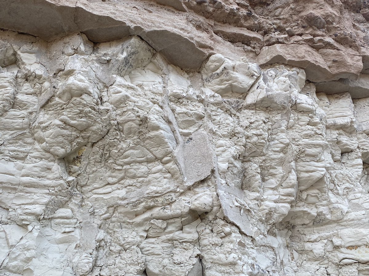 CosyNomad's tweet photo. What do you see in this first image? (Second image for context/scale). 

The light colored beds are marls, overlain by bioclastic sands. https://t.co/p2CwNIMqAz