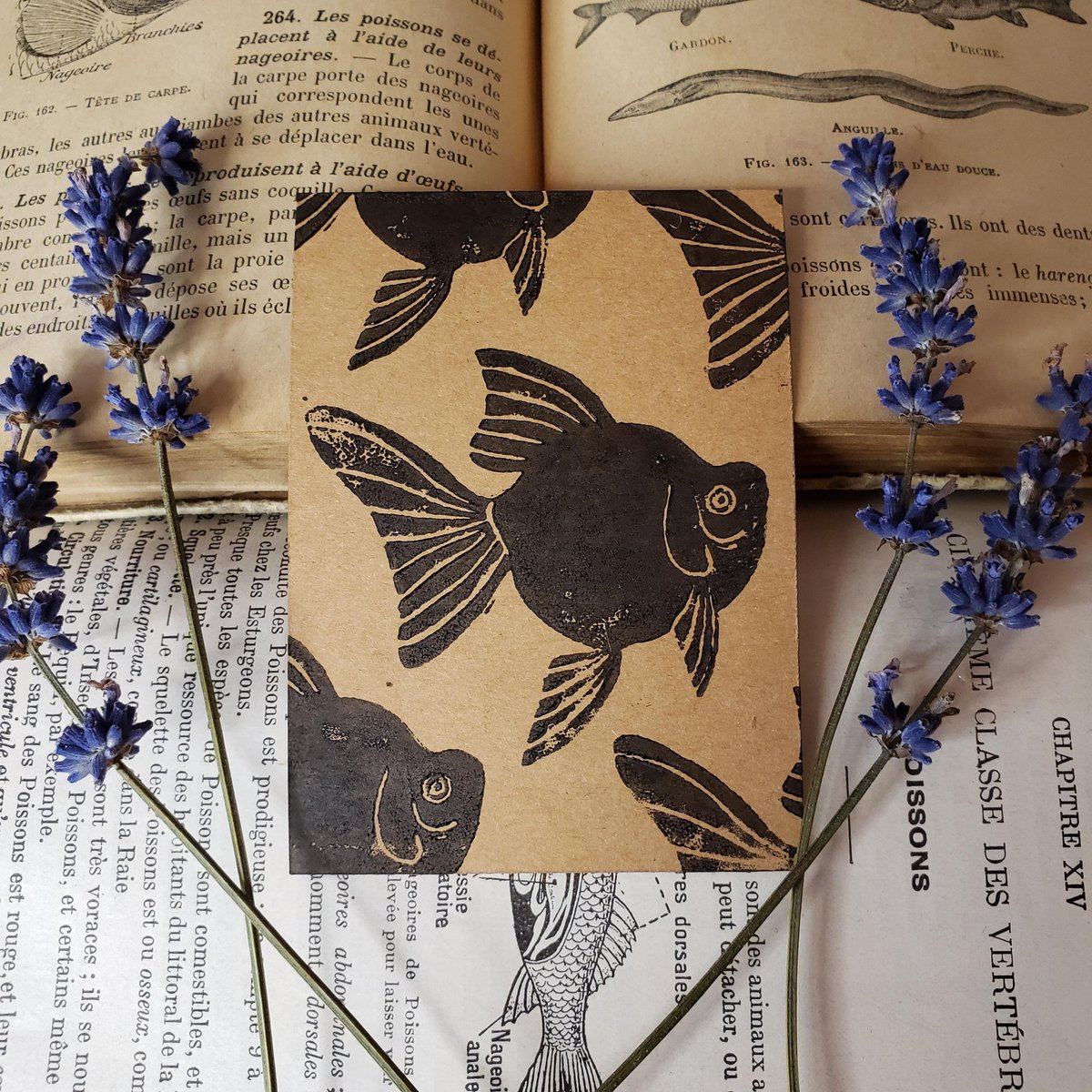 JubelMerlet's tweet photo. POISSON D'AVRIL. Ils évoluent en bancs, cette année. 

#traditionalart #tradingcards #aceo #ATC #printmaking #printmaker #linocut #stampart #handmade #printsandpatterns #fish #poissondavril #PoissonAvril #ink #art https://t.co/dEmY8jhDy7