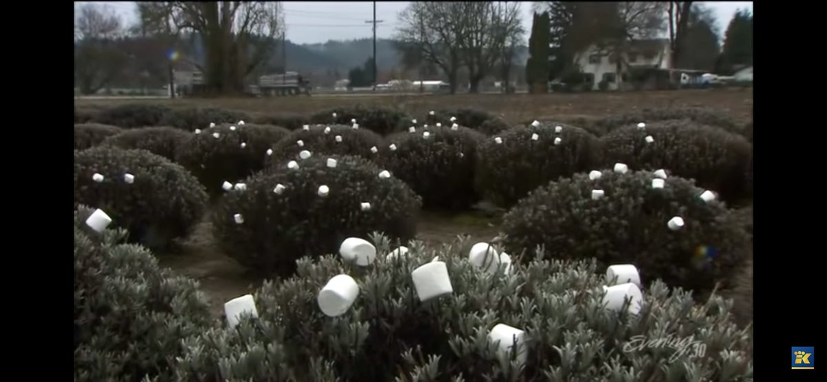 youtu.be/tIl3zIbJ3kQ 👀❤️