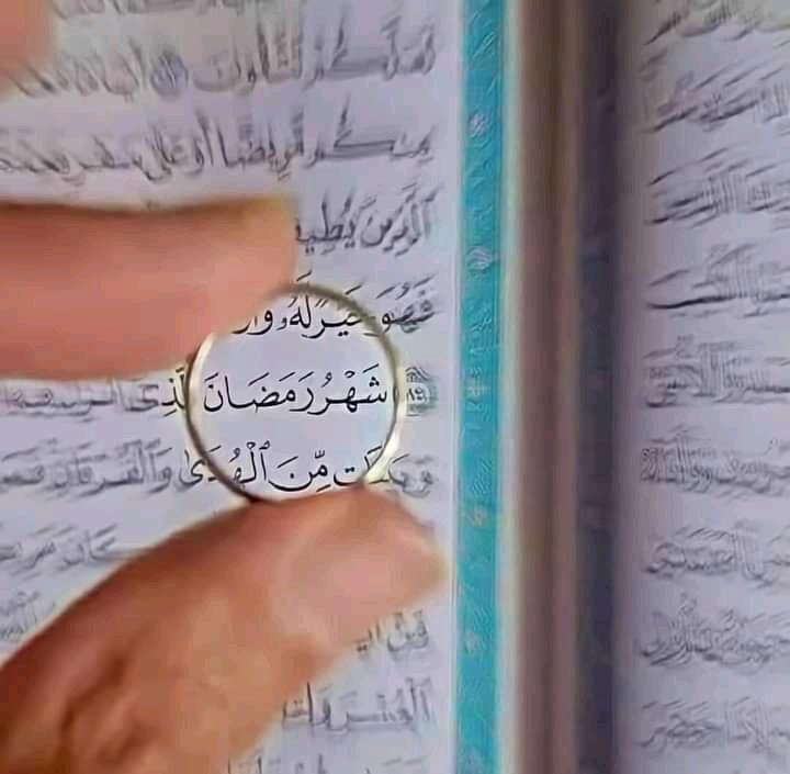 BasheyB's tweet image. Happy Ramadan to everyone. May the blessings of the month of Ramadan be on all of us and may Allah grant us our prayers and fasts!
#Ramadan #RamadanMubarak #Ramadan2022