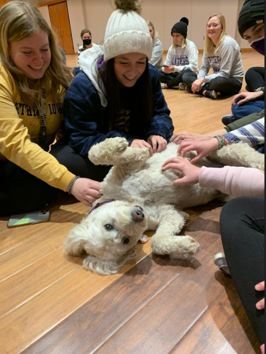 UNI_SWS's tweet photo. 🤩SAVE THE DATE! There are 2 WEEKS left until De-Stress Days!

➡️Join us in the Maucker Union Ballrooms at 11AM-2PM on May 2nd through 4th for fun activities, panther punch, and dog companions! 🐾

#BeWell #BeConnected #1UNI #DeStressDays https://t.co/ql2sRqqUxI