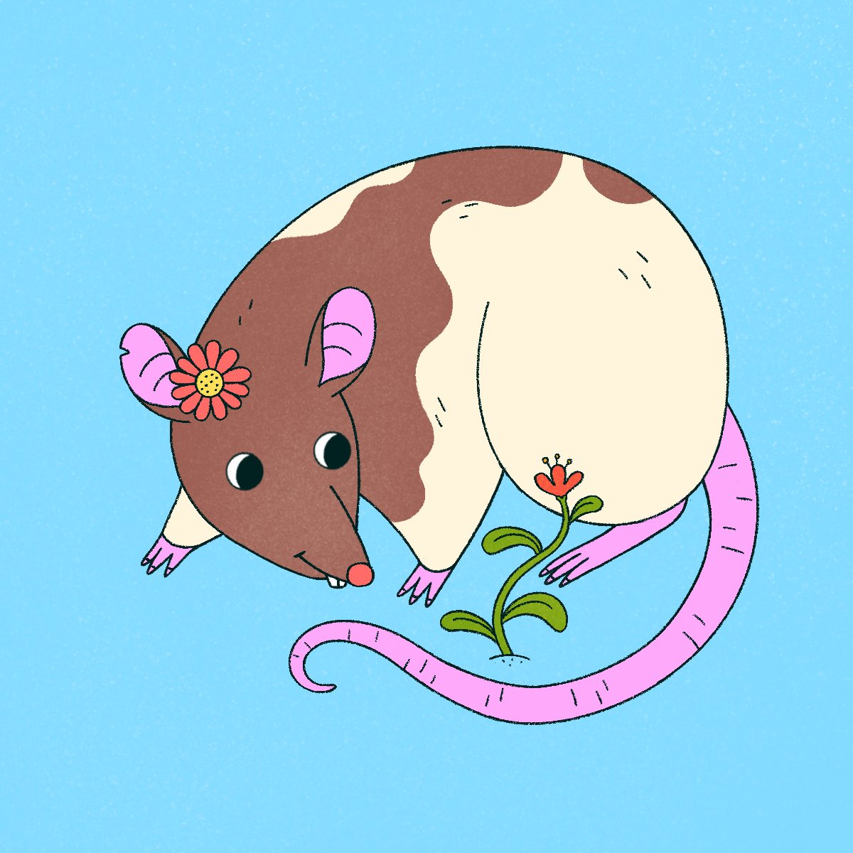 MysticWizardNFT's tweet photo. It’s Familiar Friday! What are some attributes you’d like to see in our upcoming free-to-mint Familiars collection? Let us know your ideas in the comments! 🌱🐁🌸 https://t.co/cJcHBhXR4f