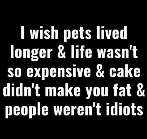 AuthorKimberley's tweet photo. Sigh. Same. https://t.co/DSIZPxkBlM