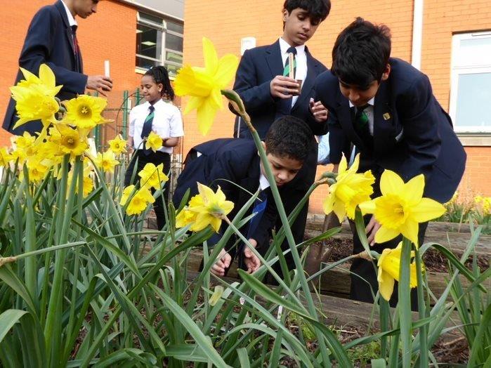 ManchesterAcad3's tweet photo. Our first gardening club meet up for our first proper growing season and we loved it #gardening @phdodd @msmpowerhouse @rekha181 @theblkgardener @SowtheCity @WeAreMossSide @lovely_plot #growyourown @RHSSchools @TheMontyDon @Garden_Ninja  @GWmag @GardeningSaul @HeadGardenerLC https://t.co/iAN2AvWZ3Z
