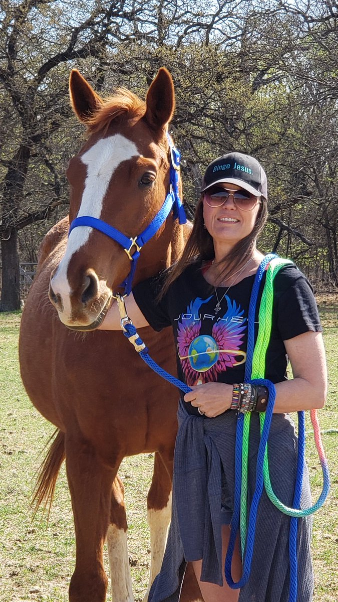 RememberMeOTTB's tweet photo. #TEXASbred champion Special UFO left for his new home this morning with Lisa.  She plans on training the 12 yo gelding to work mounted patrol with the Alphas and Omegas, a Texas based mounted patrol group. https://t.co/WIXsbQoy3r