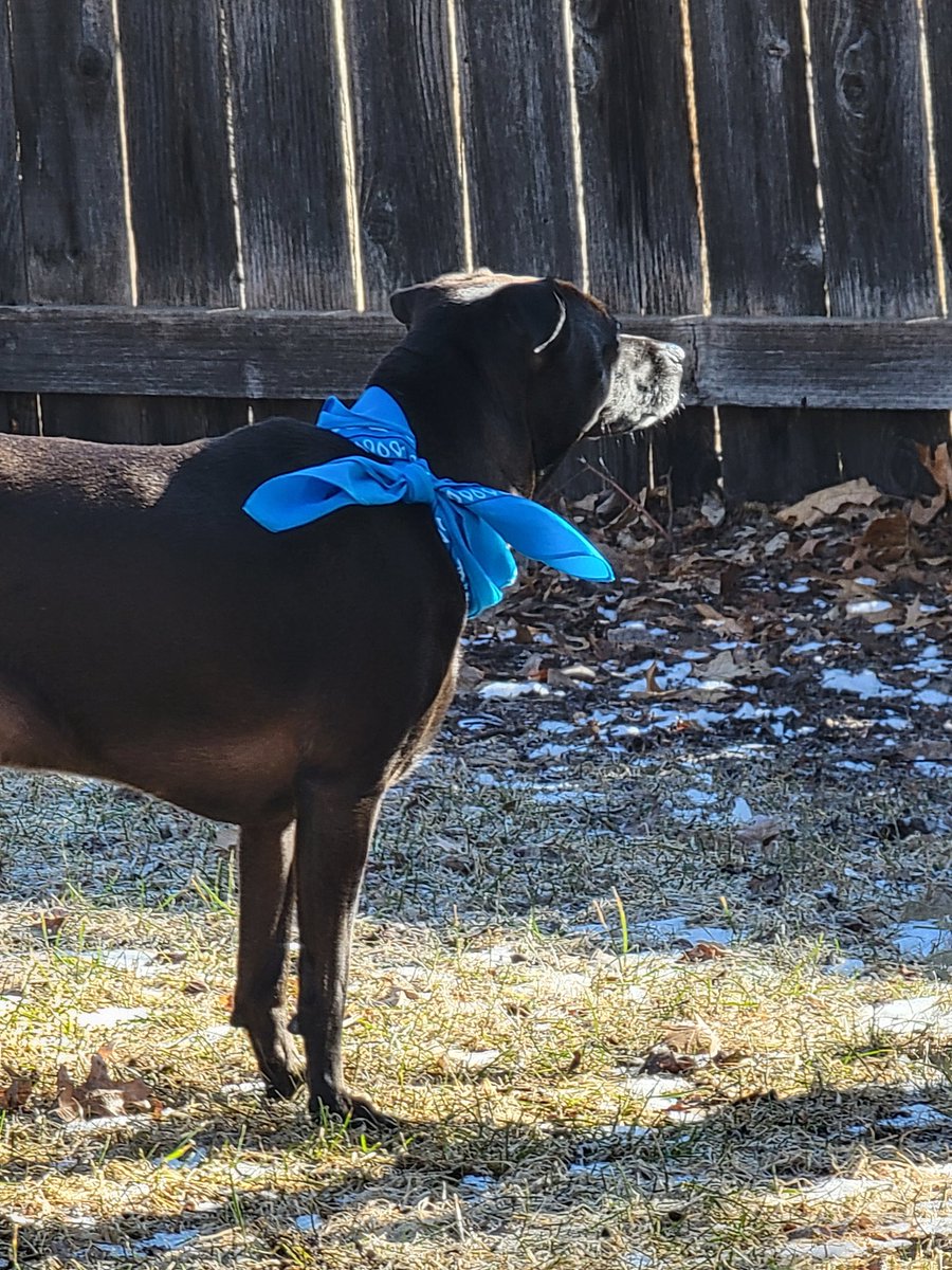 Hey! I can see thru the fence!!!