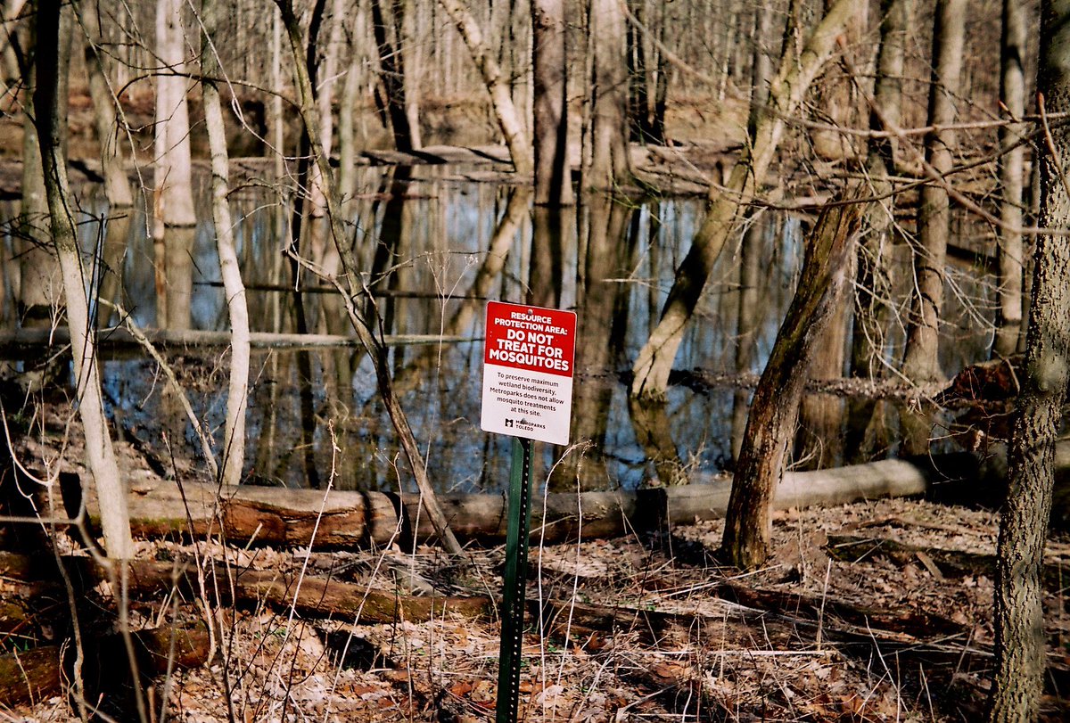 tinyymarks's tweet image. too hyped gotta share something 🤠🤗 (unedited)