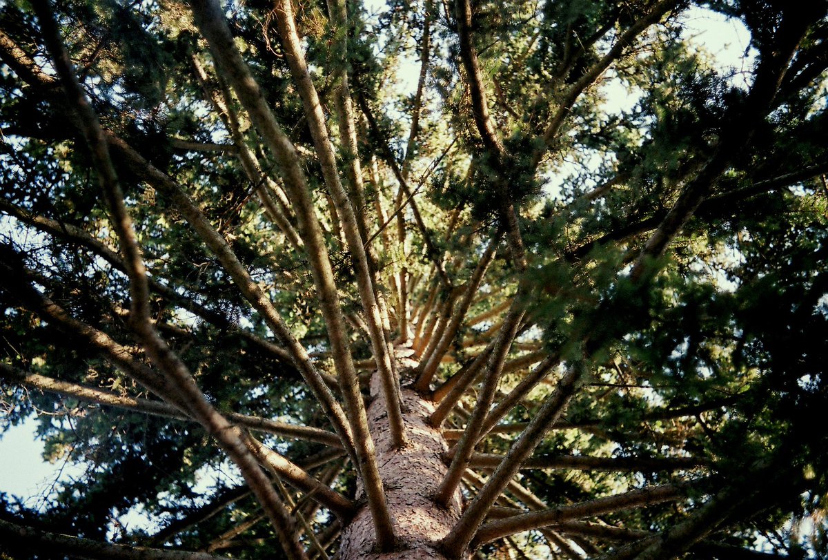 tinyymarks's tweet image. too hyped gotta share something 🤠🤗 (unedited)