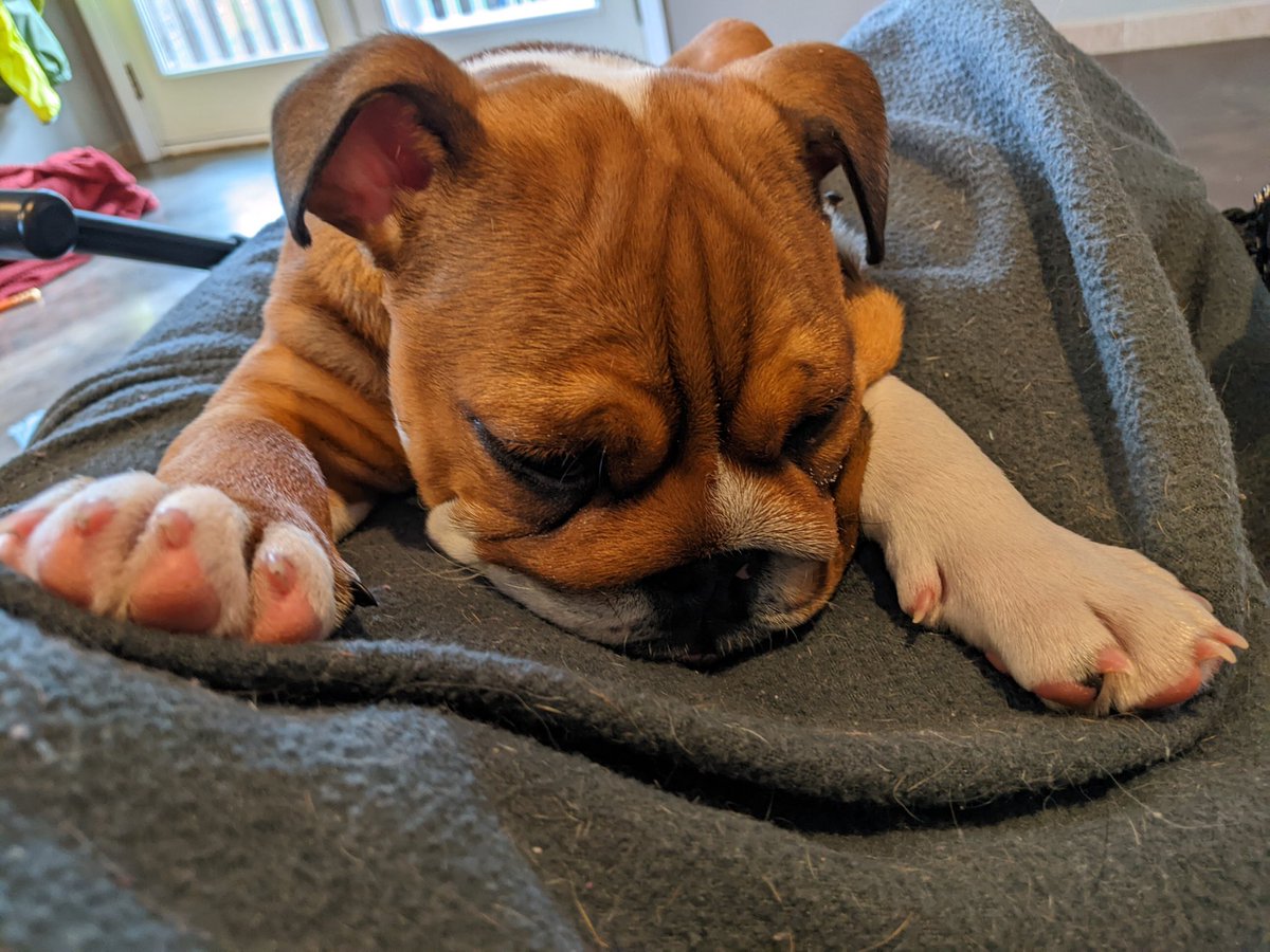 Craig Alexander (@craigwalex) on Twitter photo 