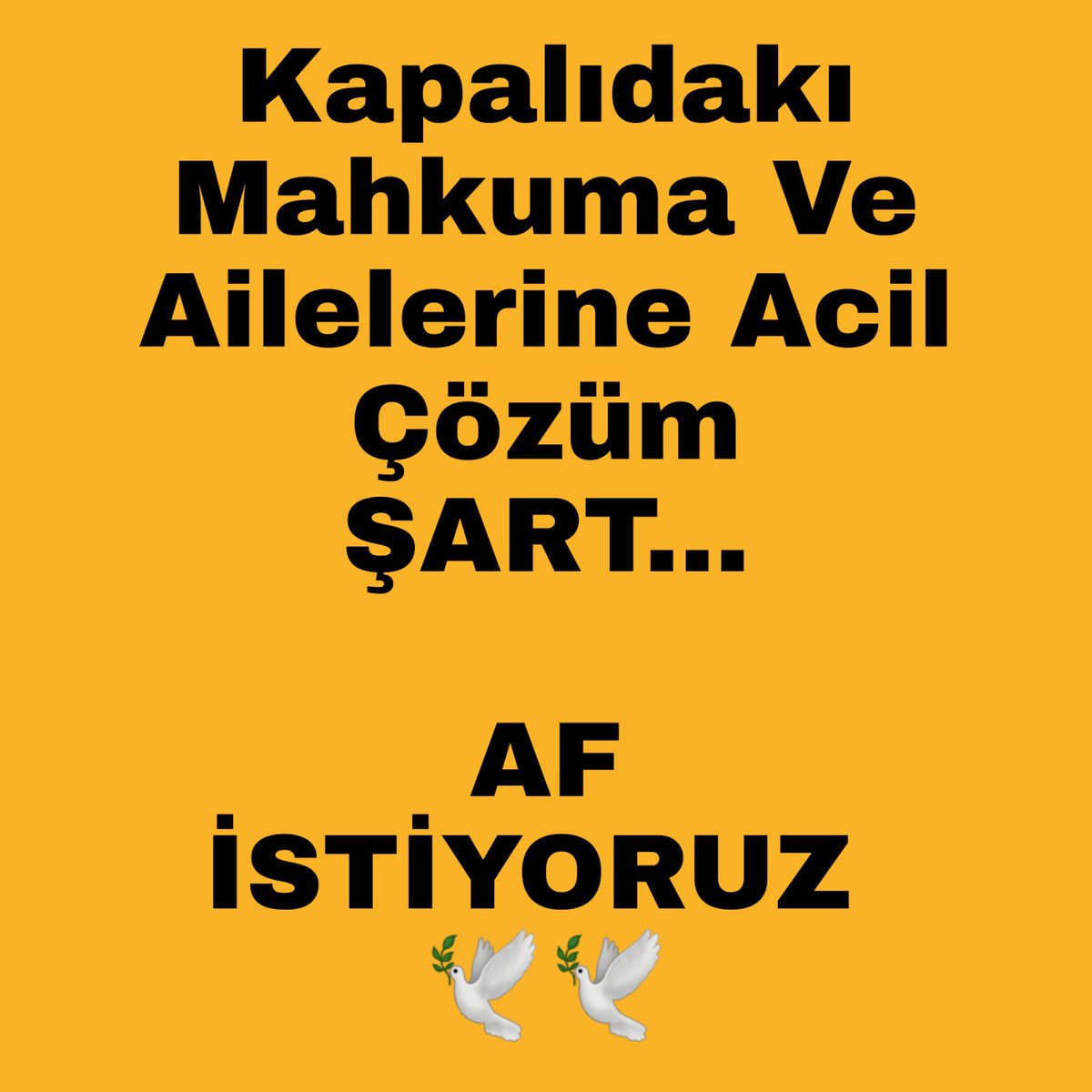GlinGuler's tweet photo. @bybekirbozdag Adil yargılanmadık…. Af istiyoruz.. @avabdullahguler @bybekirbozdag @YildizFeti @RTErdogan @dbdevletbahceli https://t.co/fh0LXNvmup