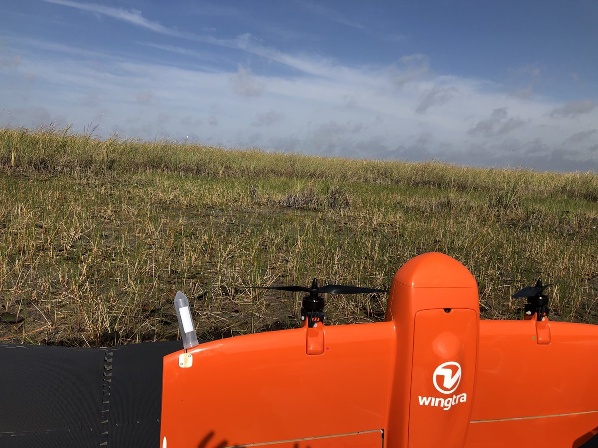 Ben Weinstein tweet media