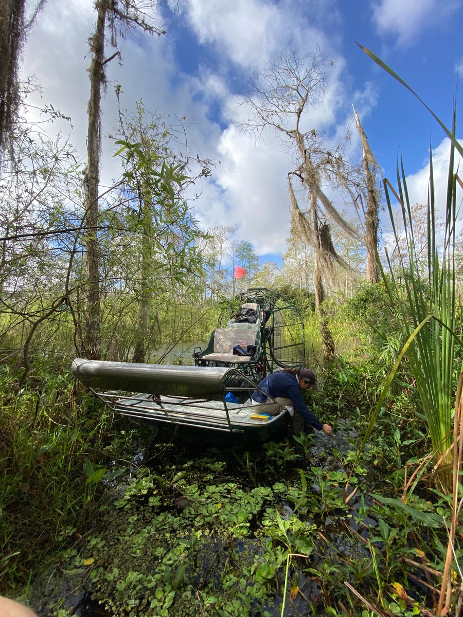 Ben Weinstein tweet media