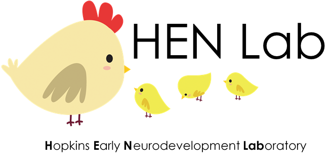 HopkinsHenLab's tweet photo. Hi, Twitter community! We’re the Johns Hopkins Early Neurodevelopment Laboratory. Our group conducts research on how early life experiences impact brain and behavior development in infants and children. Follow to learn more! #hopkinshenlab https://t.co/zsfqbxaunl