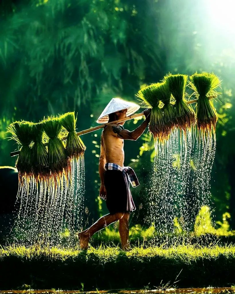 AmazingNature00's tweet photo. Beauty of Nature https://t.co/Dgc20R13iB