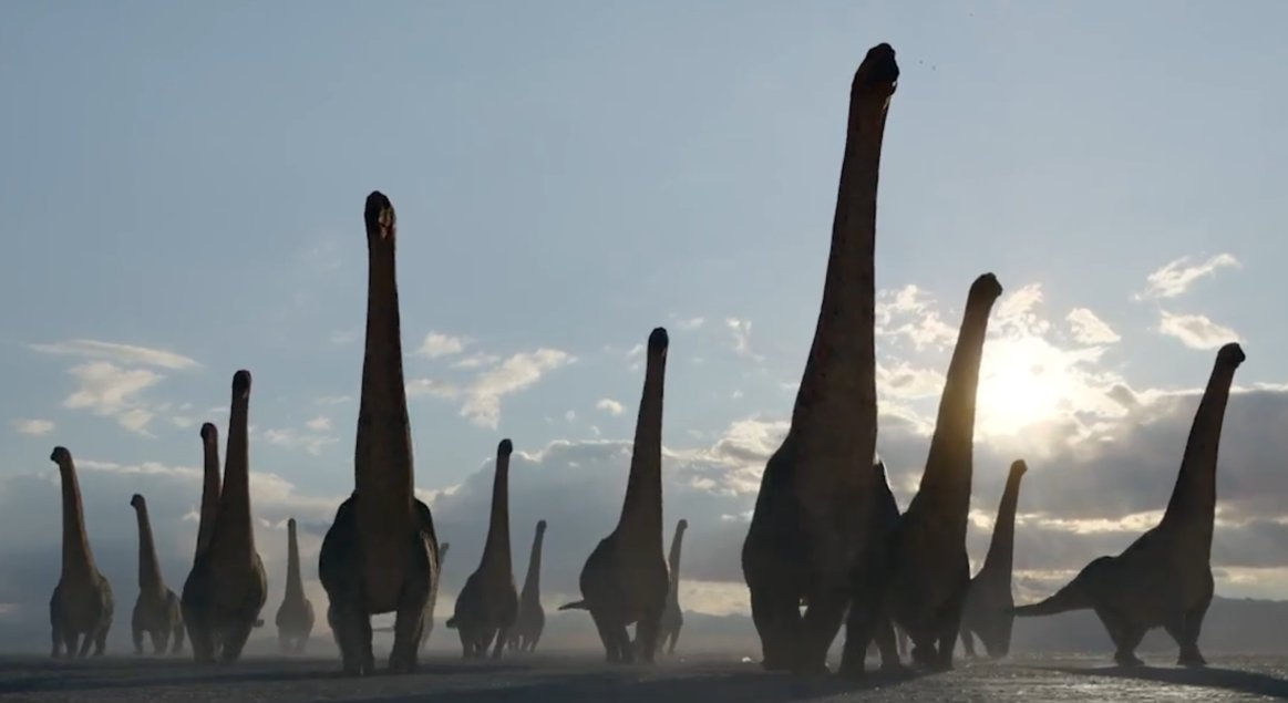 ornithopsis's tweet photo. They're moving in herds...they do move in herds. https://t.co/c8s8oi5efZ