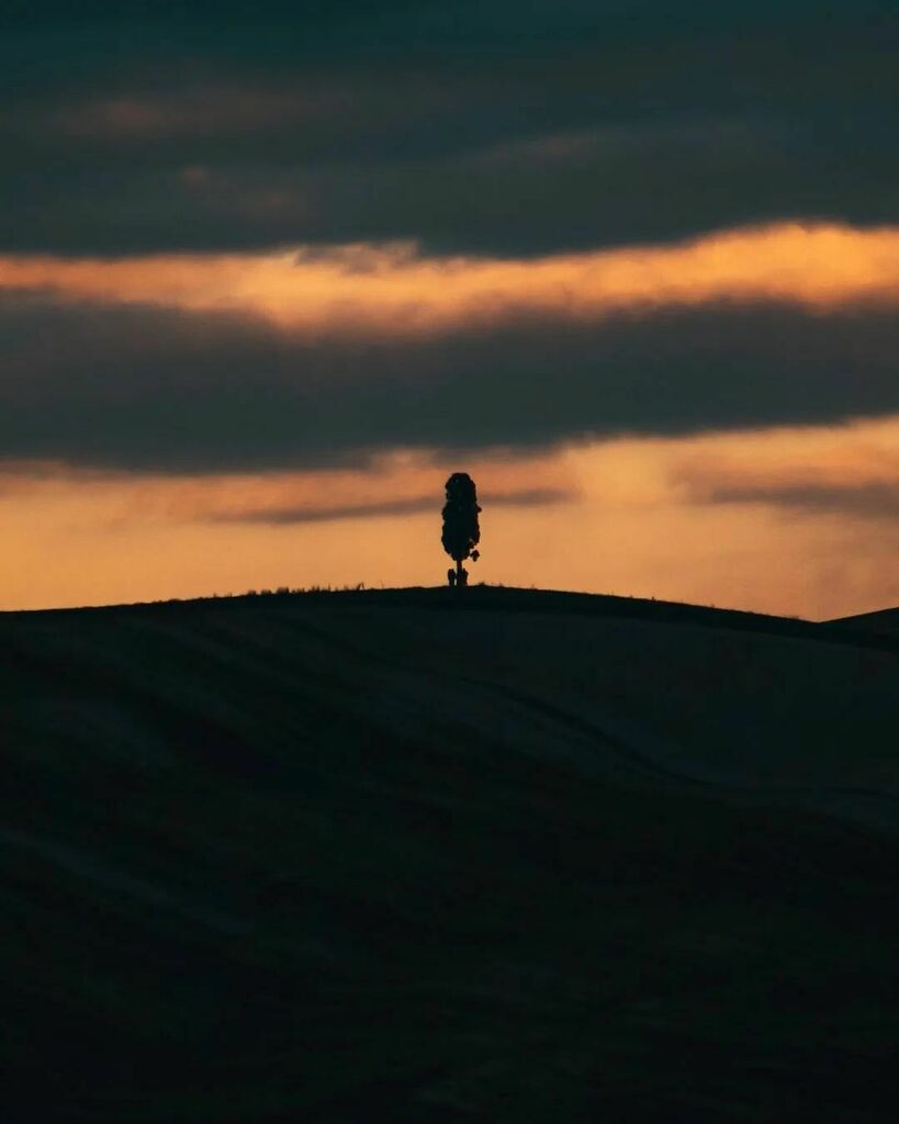 Lonely tree
.
Photo by <a href="/ricca_f/">ricca fitria</a>
.
#tuscanyplanet #tuscanlandscape #tuscanlife #tuscany #toscana #tuscanhills #tuscancountryside #sunset #sunsetlovers #sunsetporn instagr.am/p/Cb0Z1ffLcfo/