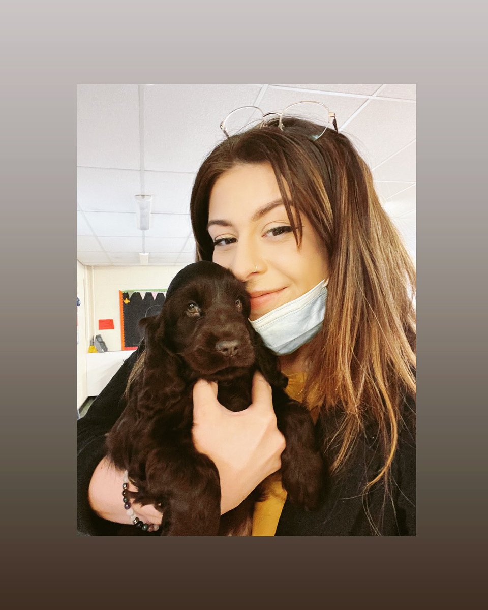 Miss Dodds tweet media