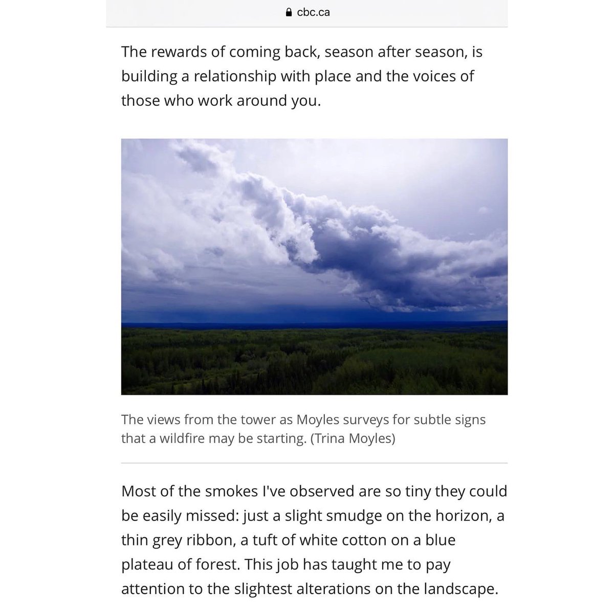 Trina Moyles tweet media