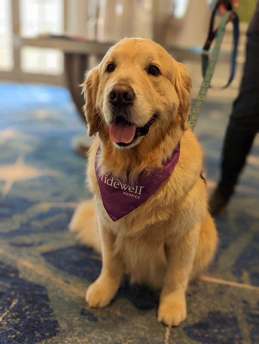 MagnifyGood's tweet photo. Honored to attend Tidewell Foundation’s 13th Annual Signature Luncheon benefiting @tidewellhospice today. Henry Winkler had us laughing and it was great to see so many gathered in support of the incredible care and services Tidewell provides to the region. #MagnifyGood #client https://t.co/cTMZE1fcQr
