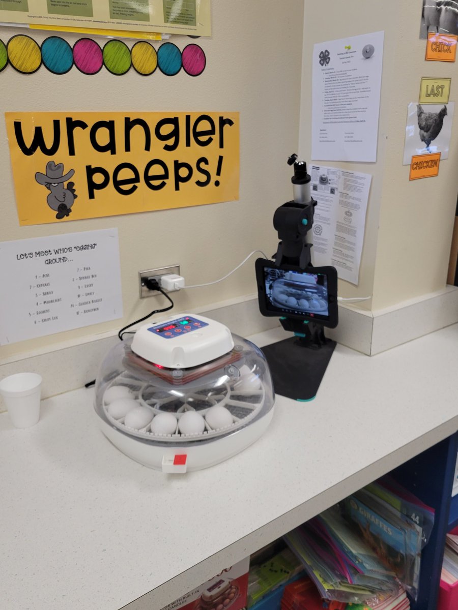 April Dunning tweet media