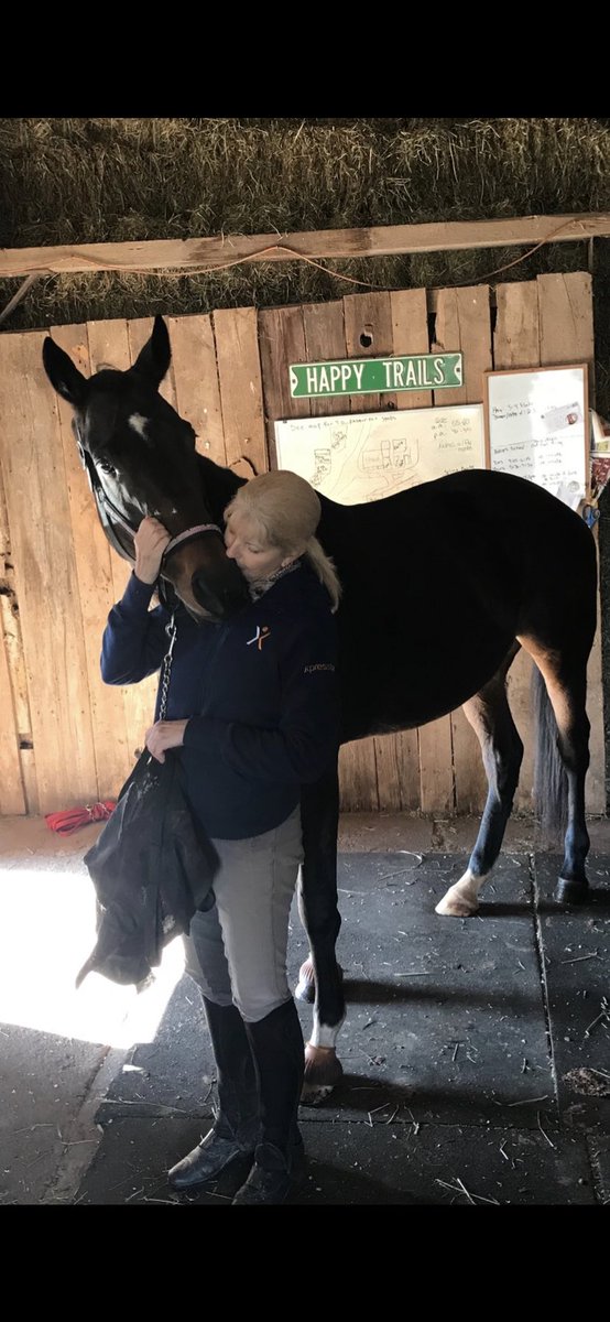 racingforhome's tweet photo. Happy Birthday Your Highness 💚Firestar is 9 today! And 9 looks fine on you darling! #StarBaby #StarTrekking #OTTB @Kitkat8298 https://t.co/5k5P1ZDTa8