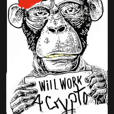 elcryptobandido's tweet photo. #NewProfilePic https://t.co/zzx8zdX8tD