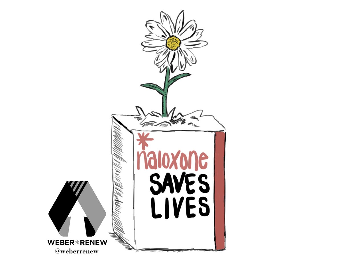 WeberRenew's tweet photo. A quick note to say THANK YOU for all the wonderful donations that have come in so far on #401Gives. Your contributions are literally saving lives and we're so grateful. Last reminder: you have until midnight to contribute at: https://t.co/vAeRO17ObF
(Art by Sav Hazard-Chaney) 💜 https://t.co/p9GAjDrX8R