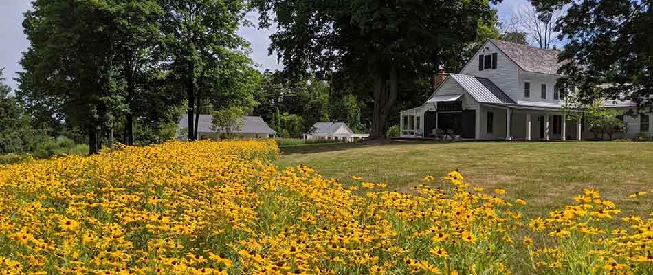 Are you looking for a #naturallandscape installation this #spring? 🌻

Sustainable landscapes benefit the environment by providing natural habitats for wildlife! 🐿️ 🐝

Call, or visit our website to schedule a consultation today!

📞 815-247-4457
⛓️ pizzo.info/sustainable-la…