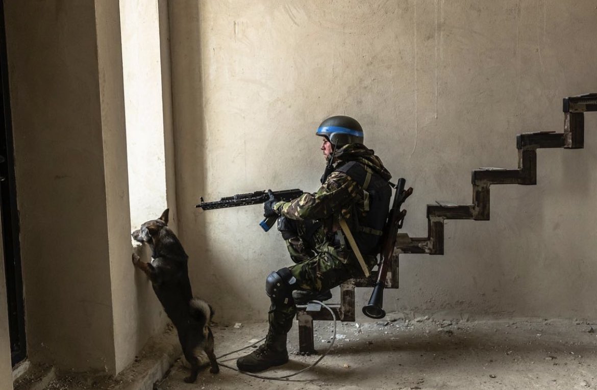 Strength Ukraine tweet media