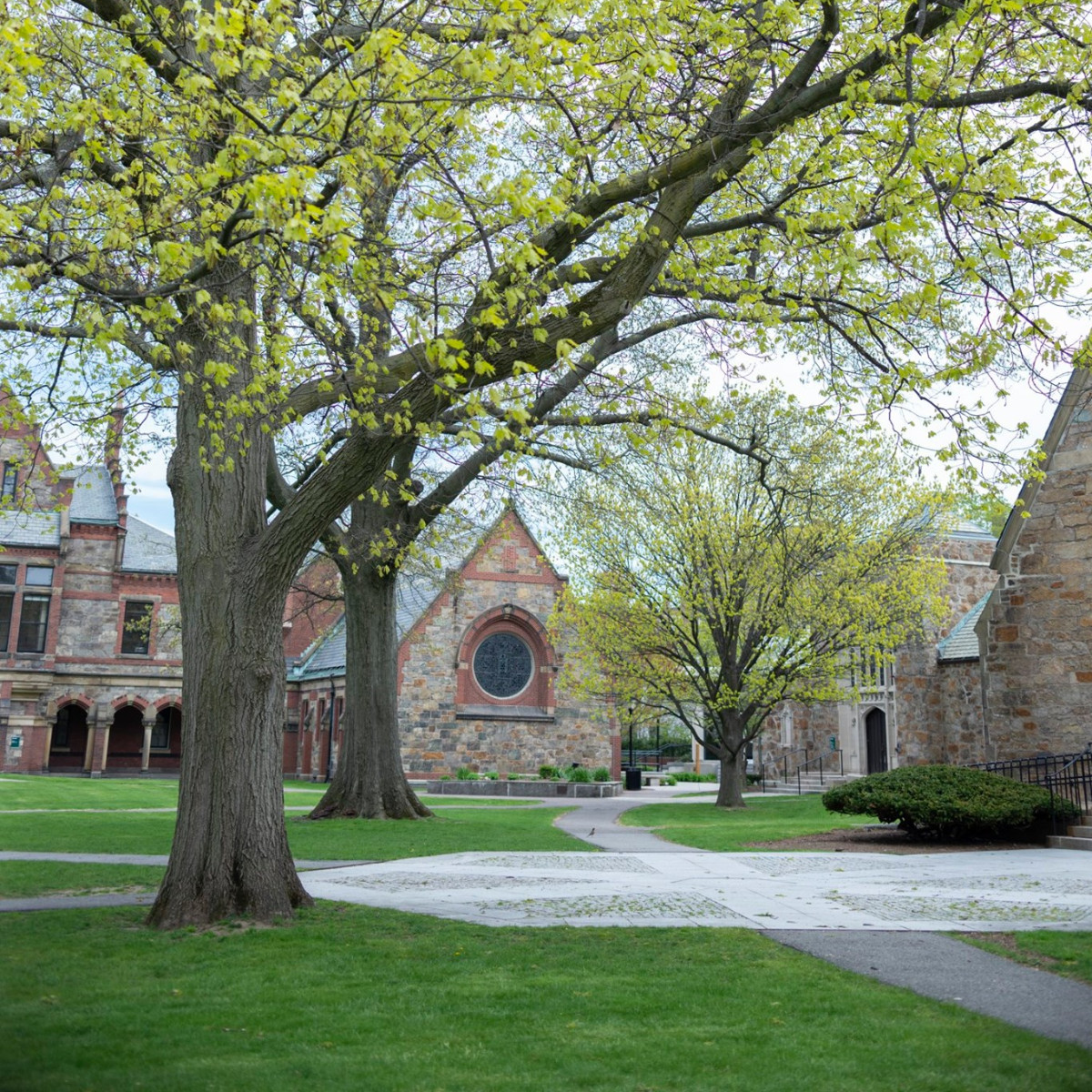 lesley_u's tweet photo. #April showers ☔️🌱
📷: Ali Trepanier '22
#LesleyUniversity #SpringCampus #Cambridge #SpringInNewEngland #CambMA #FridayFeeling #FridayVibes https://t.co/XoIR7peDm5