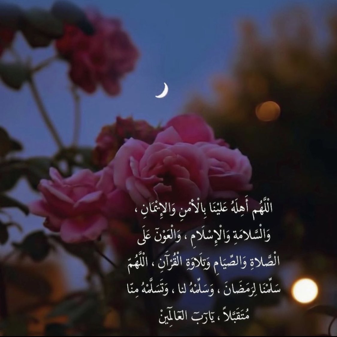 alaml216's tweet photo. 🌸🌸

 #مبارك_عليكم_الشهر https://t.co/DX8aSawKU4