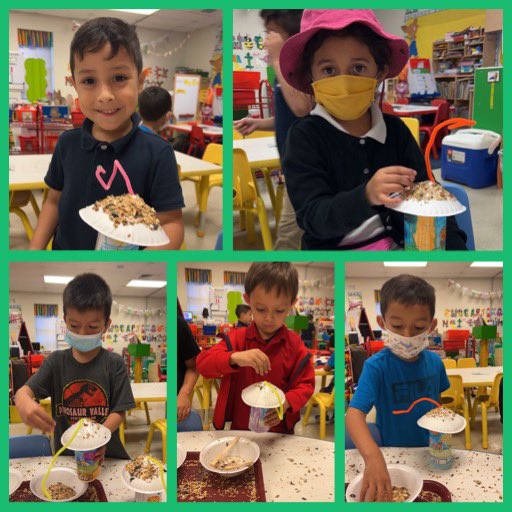MsRamirezOES1's tweet photo. PK @OES_Ocelots @rosemarycleal #PLTW bird feeders ready! https://t.co/CvnJaR0Vzr