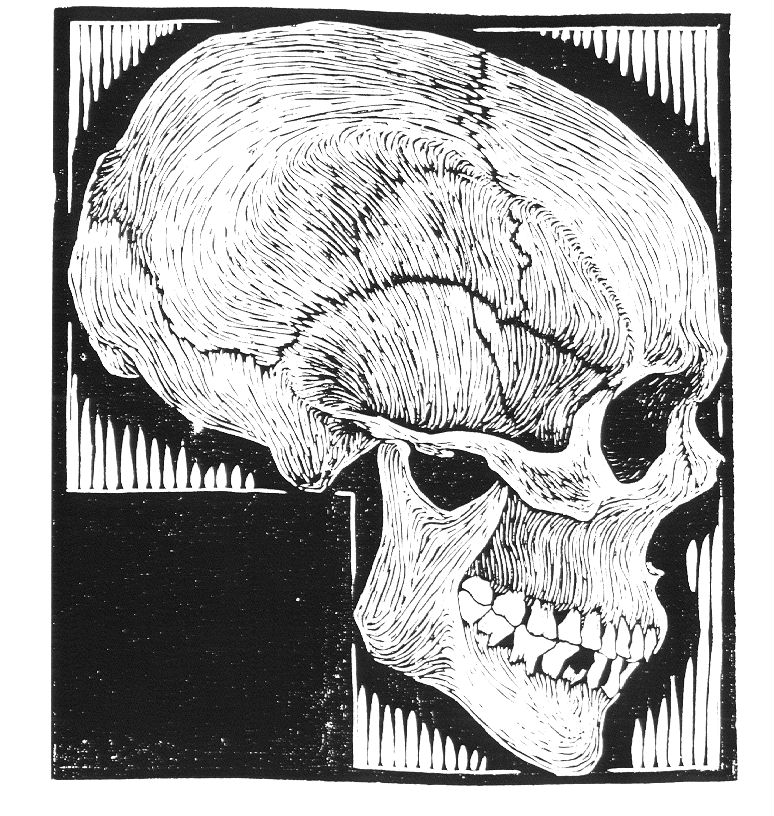 artistescher's tweet photo. Skull, 1919 #mcescher #expressionism https://t.co/3tqqiD9gLw