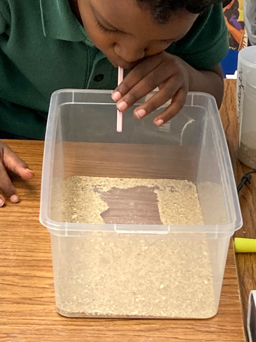 BridgedaleElem's tweet photo. 2nd graders exploring the affects of wind and water on land and recording their findings. @JPschools @JasonJbeber #beaglepride #successtobark🐶 https://t.co/D6RU4RIBa7