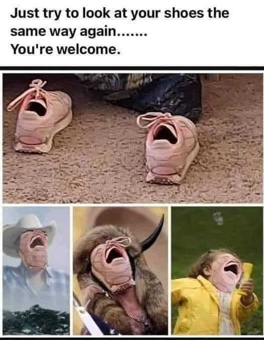TheAngryFowl's tweet photo. Yooo i really just hollered at this photo. #AfternoonHumor #TeddyJokes https://t.co/L2NSPABhLm