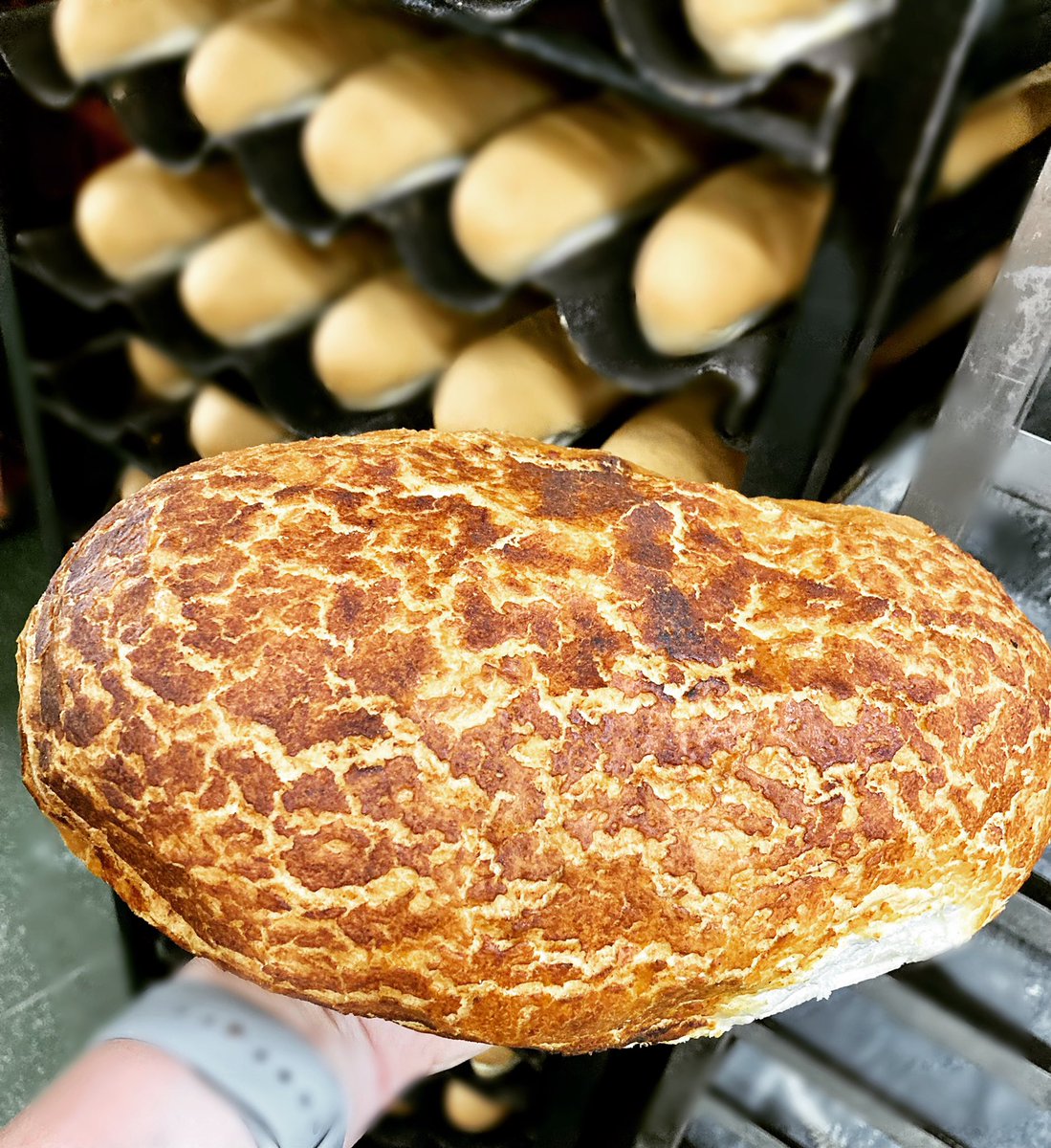 LinzersBakery's tweet photo. Tasty Tiger Bread. #foodstagram #delicious #breadlover #CBA #norwichfood #bakeryproducts #salsa #norwichlife #bakerylife #norwich #NorfolkFoodBloggers #supportlocal #tigerbread https://t.co/dQypf8fxXJ
