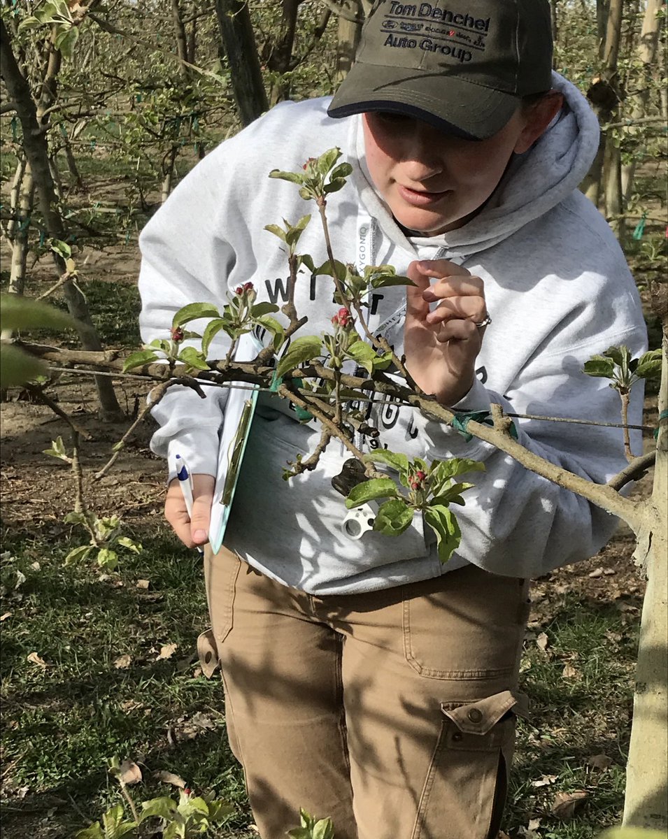 The data is in the details 🔍