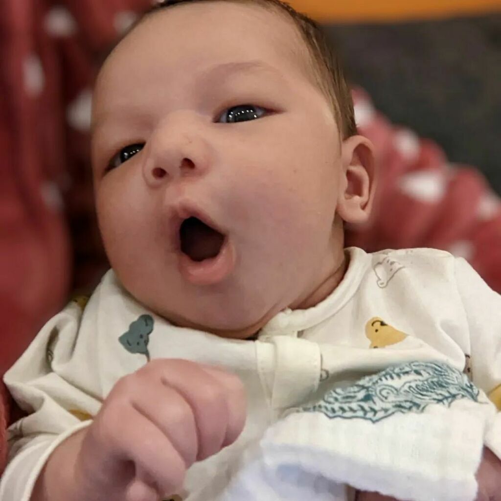 andreascottart's tweet photo. Dante is a whole month old!

This little guy isn't so little, and has already outgrown all his newborn clothes ! https://t.co/B4720uhdzT https://t.co/ydfSxohx8L